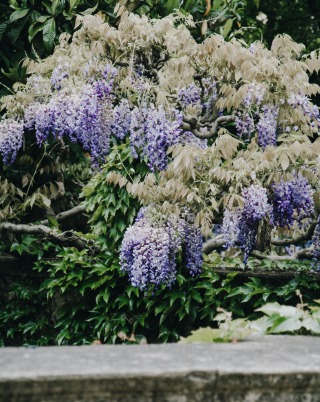 Joanna-nix-walkup-o_7HYmtE2Y8-unsplash (1)